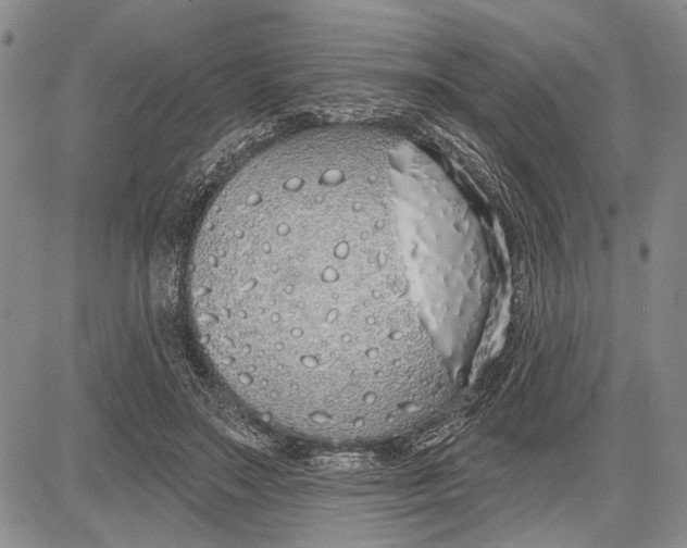 X0000081600499200702051333