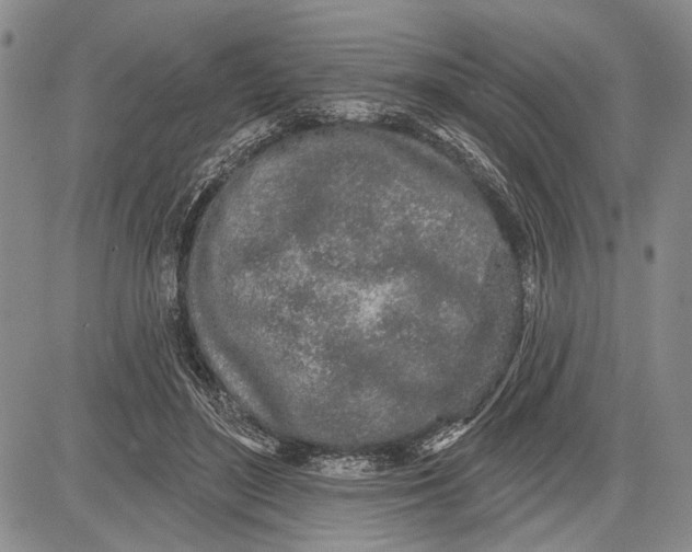 X0000081600500200702051333