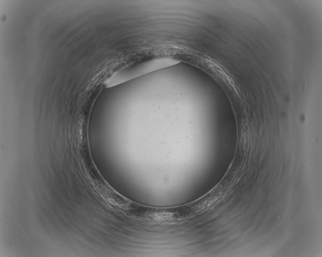 X0000081600501200702051333