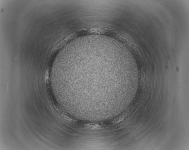 X0000081600502200702051333