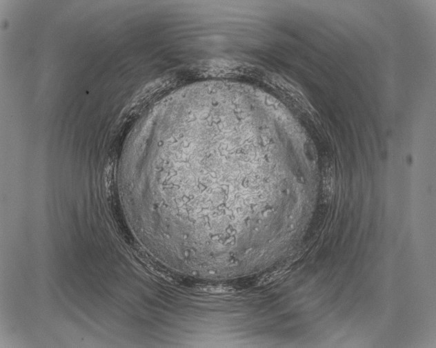 X0000081600503200702051333