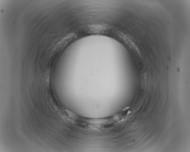 X0000081600505200702051333