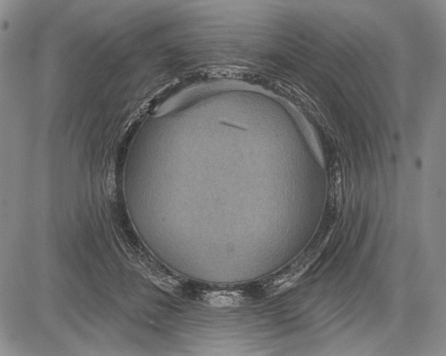 X0000081600508200702051332