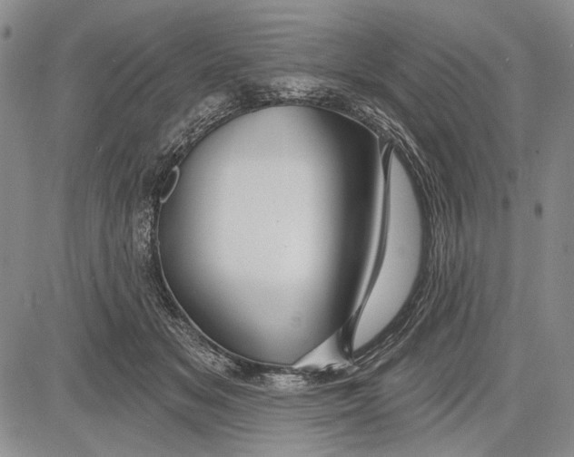 X0000081600509200702051332