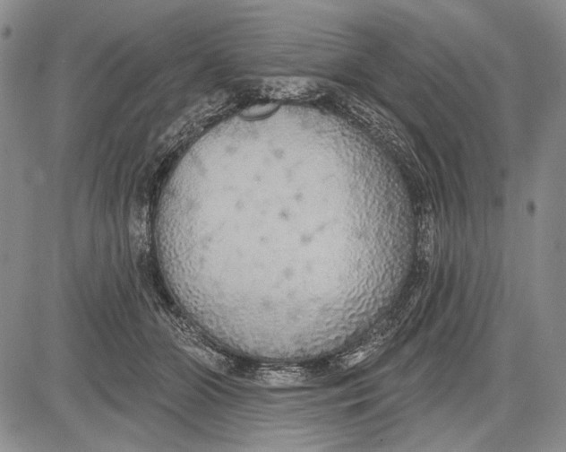 X0000081600510200702051332