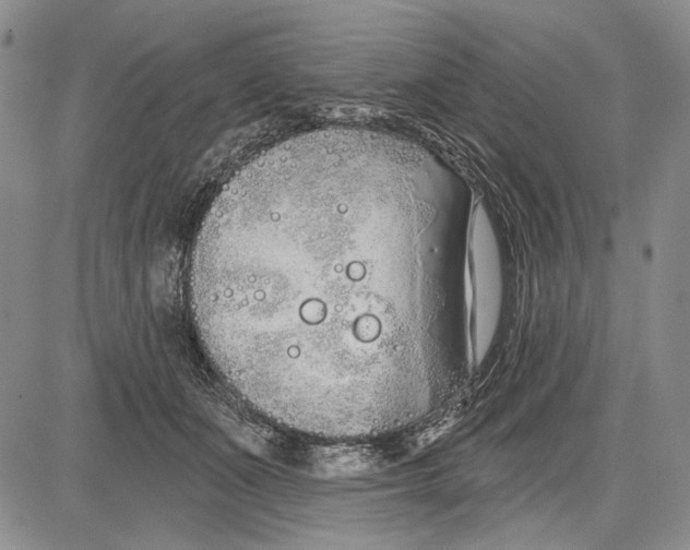 X0000081600511200702051332