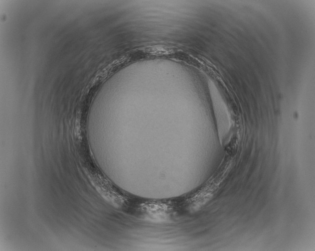 X0000081600512200702051332