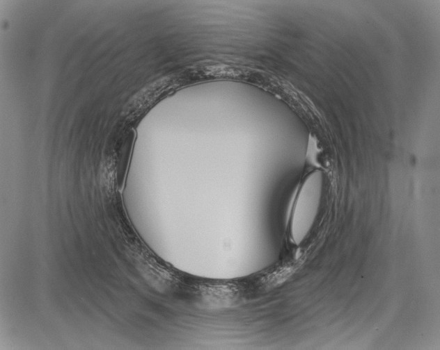 X0000081600513200702051332