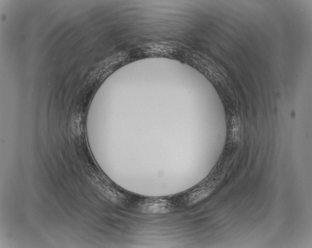 X0000081600514200702051332