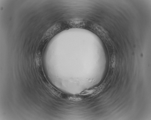 X0000081600515200702051332