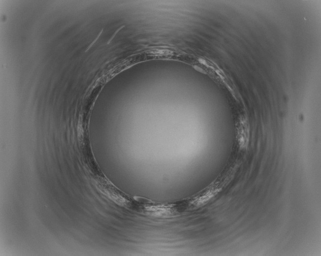 X0000081600516200702051332