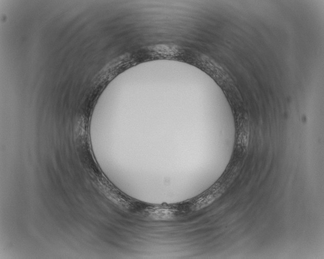 X0000081600518200702051332