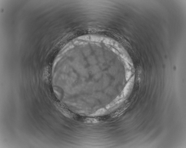 X0000081600519200702051332