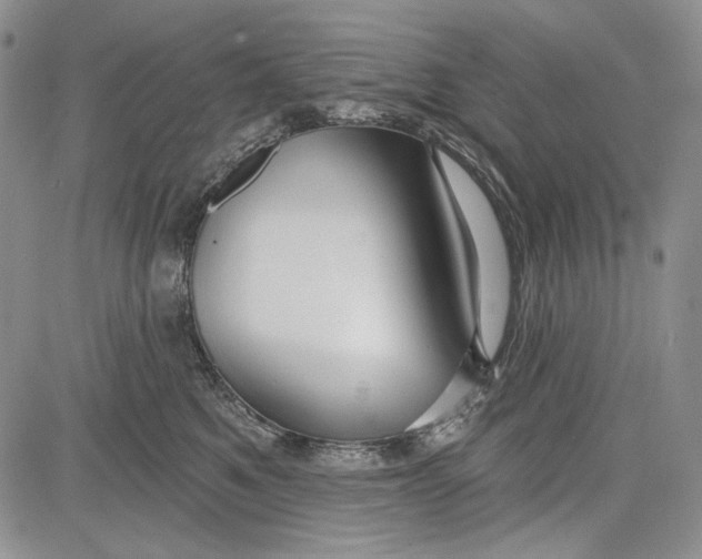 X0000081600521200702051332