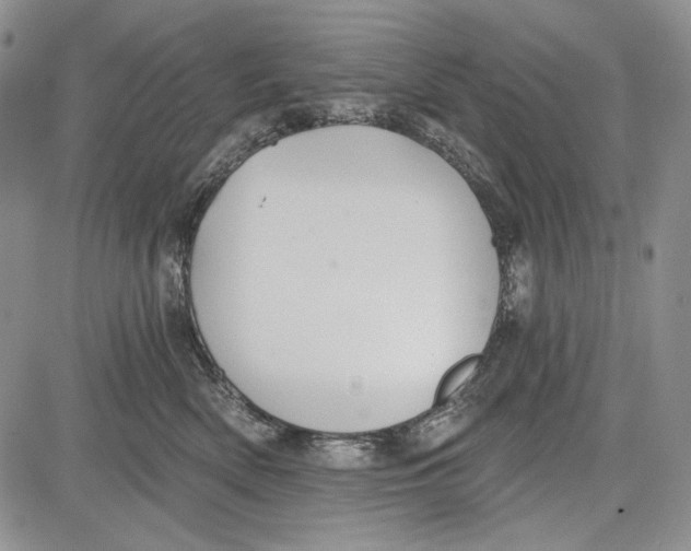 X0000081600522200702051332