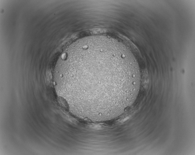 X0000081600523200702051332