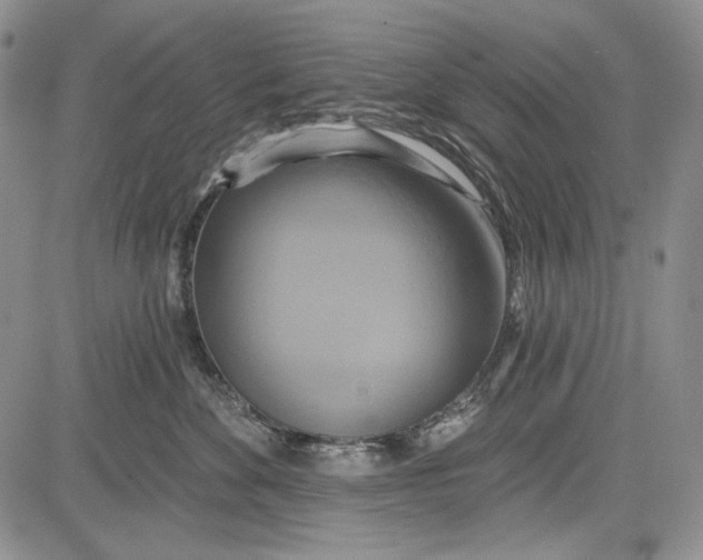 X0000081600524200702051332