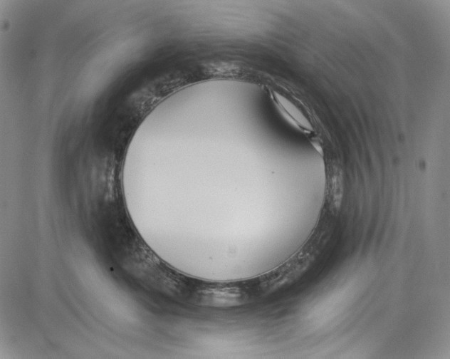 X0000081600525200702051332