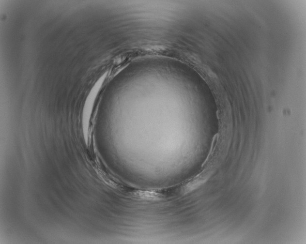 X0000081600528200702051332