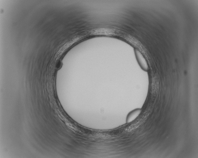 X0000081600529200702051331