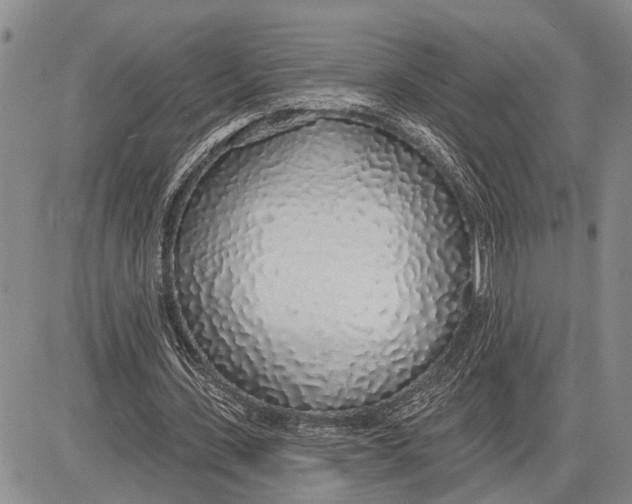 X0000081600531200702051331