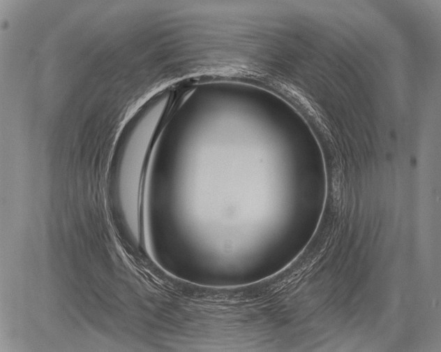 X0000081600532200702051331