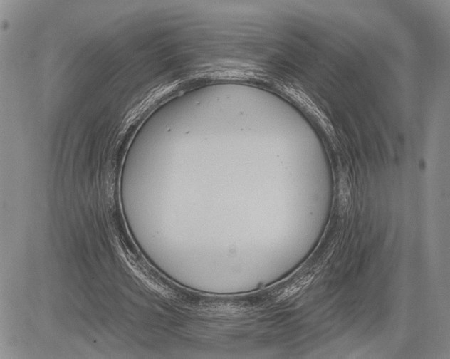 X0000081600533200702051331