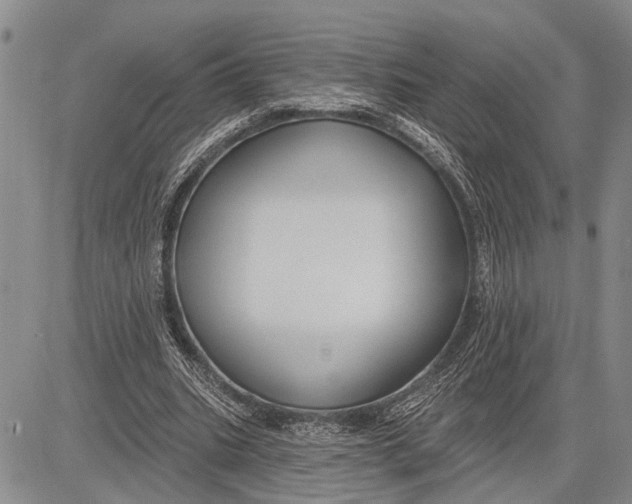 X0000081600535200702051331