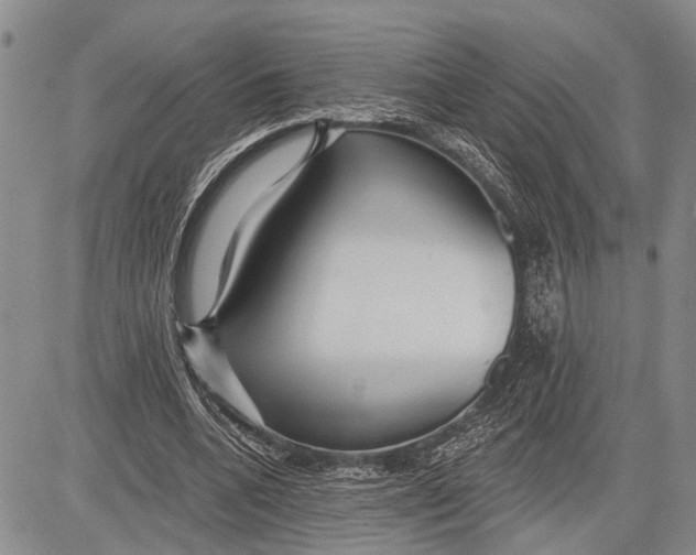 X0000081600536200702051332