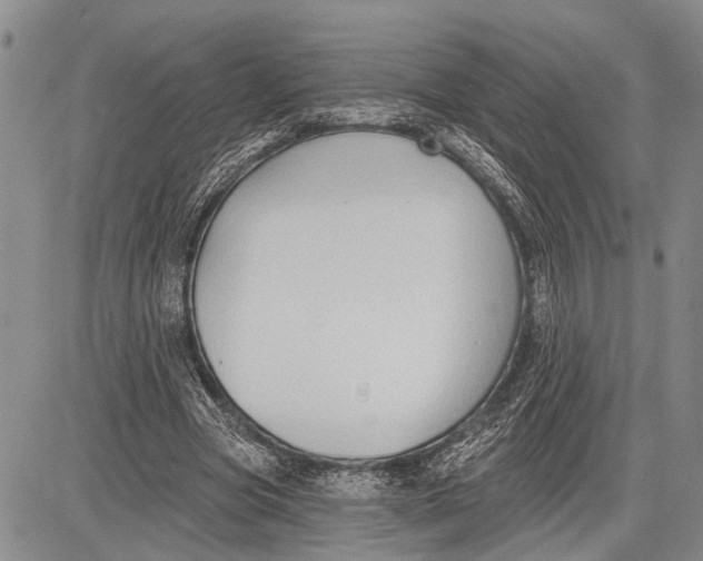 X0000081600537200702051332