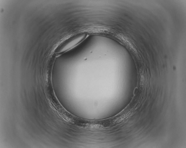 X0000081600539200702051332