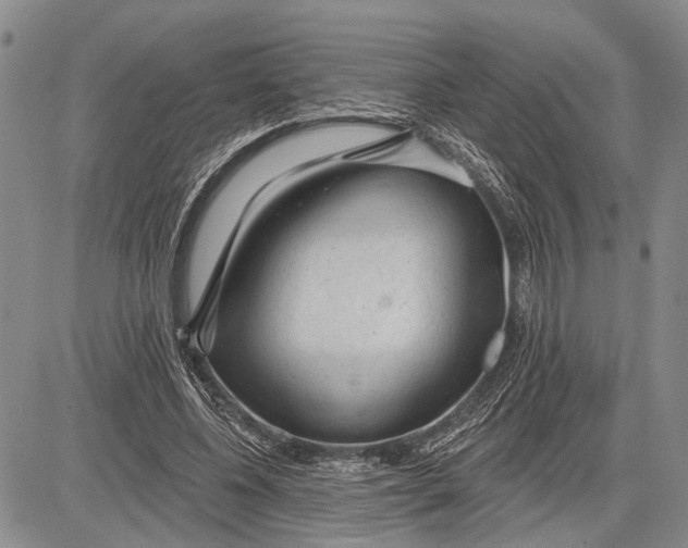 X0000081600540200702051332