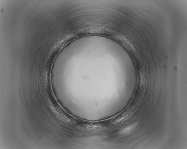 X0000081600542200702051332