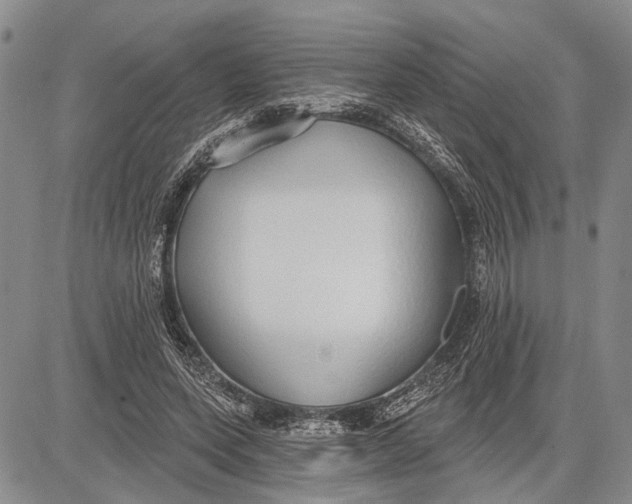 X0000081600543200702051332