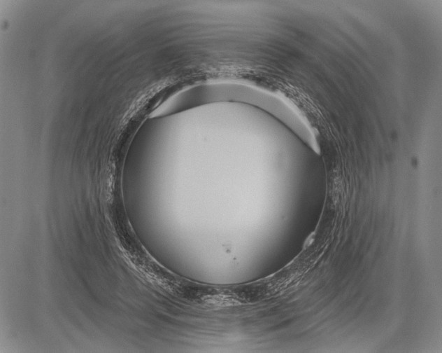 X0000081600544200702051332