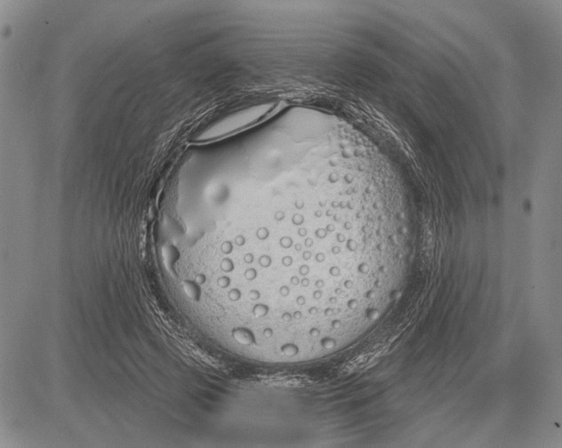 X0000081600545200702051332