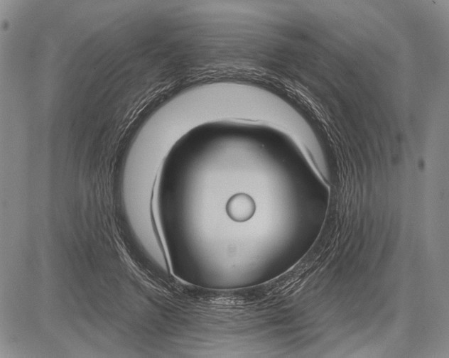 X0000081600546200702051332