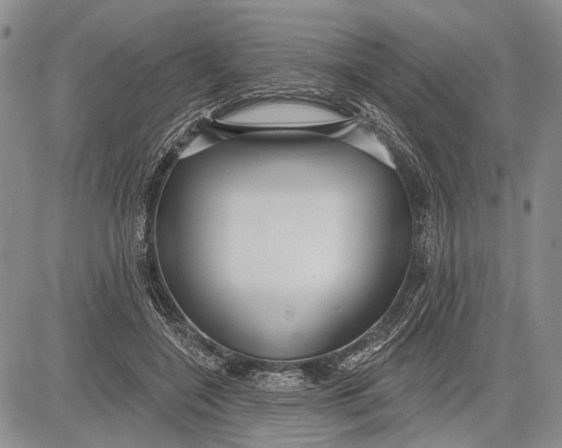 X0000081600548200702051332