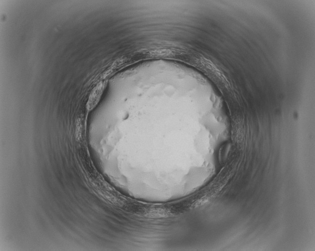 X0000081600549200702051332