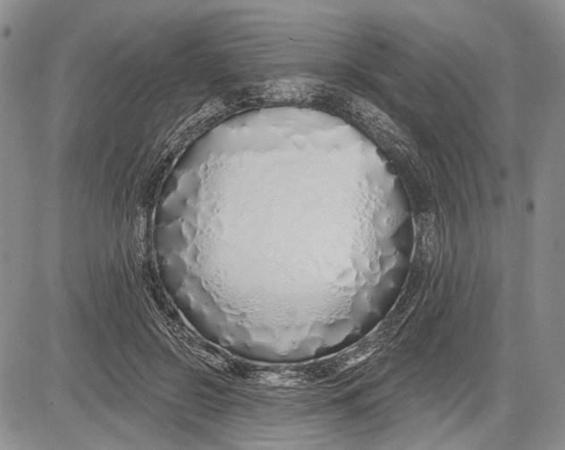 X0000081600550200702051332