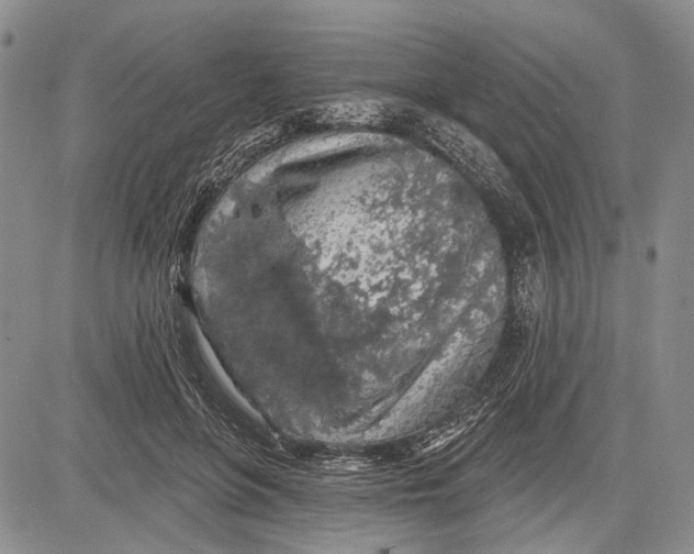 X0000081600551200702051332