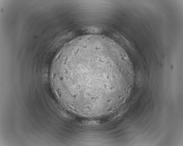 X0000081600553200702051332