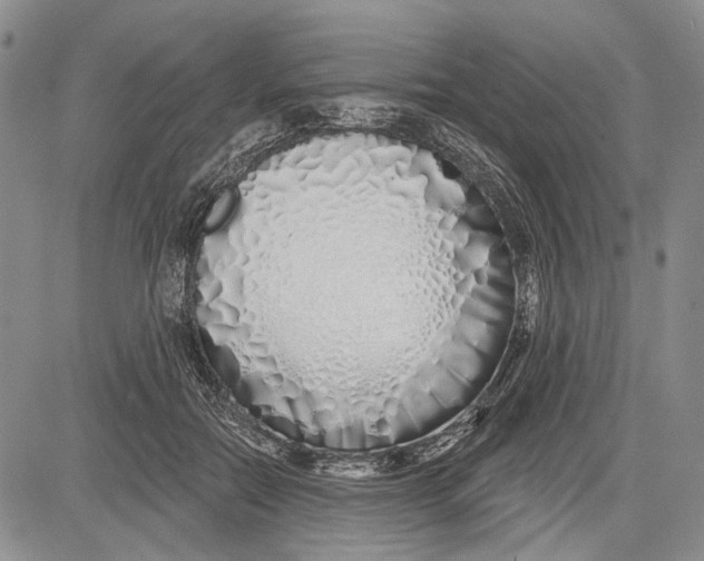 X0000081600554200702051332