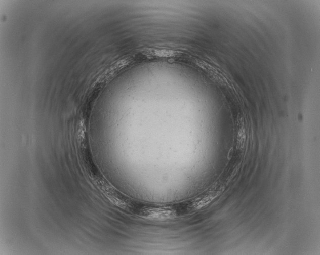 X0000081600555200702051332