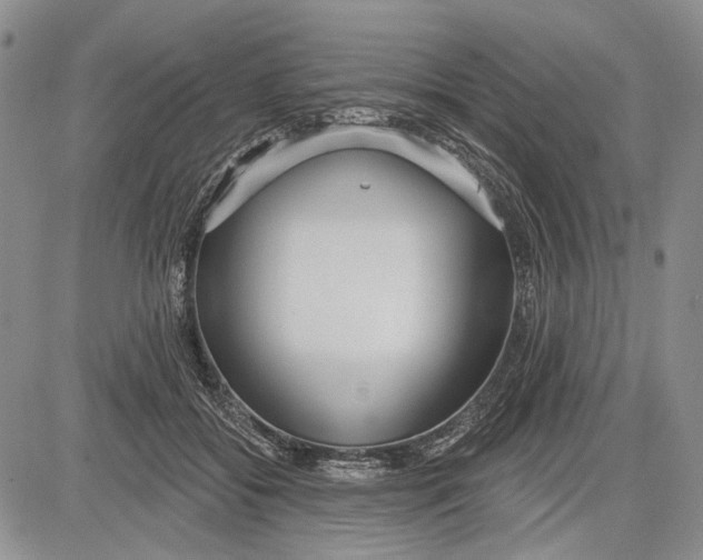 X0000081600556200702051332