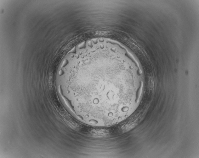 X0000081600557200702051332