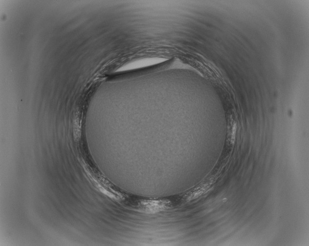 X0000081600558200702051332