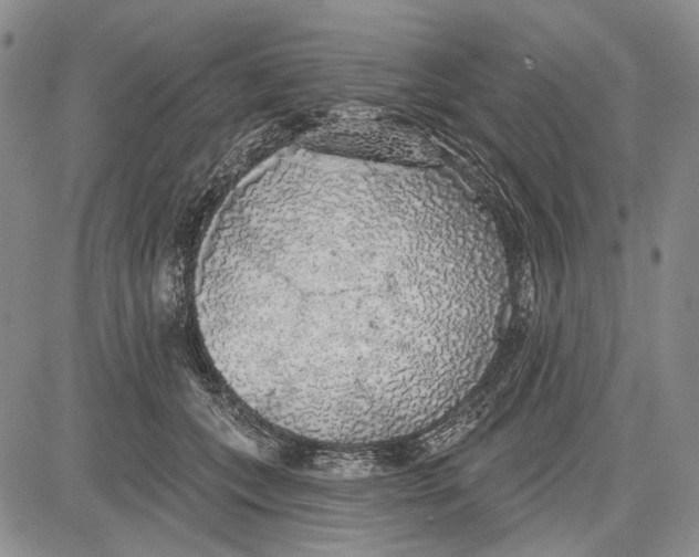 X0000081600559200702051332