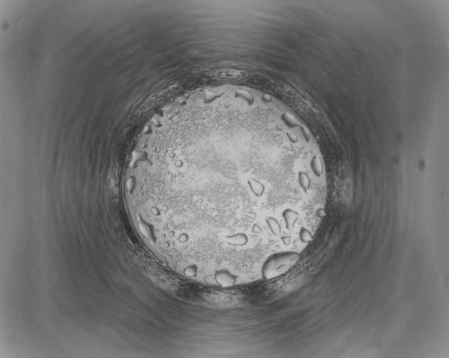 X0000081600561200702051332