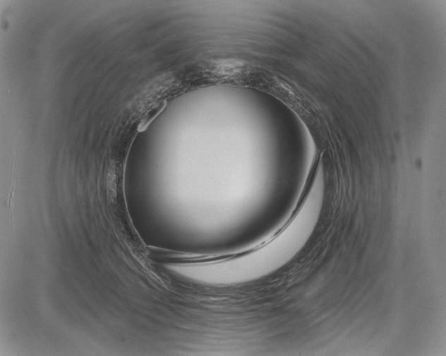 X0000081600562200702051332